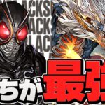 BLACKSUN vs シヴァドラどっちが強いの！？1体所持だと微妙？ブラックサン徹底解説！コロシアム周回編成も！【パズドラ】