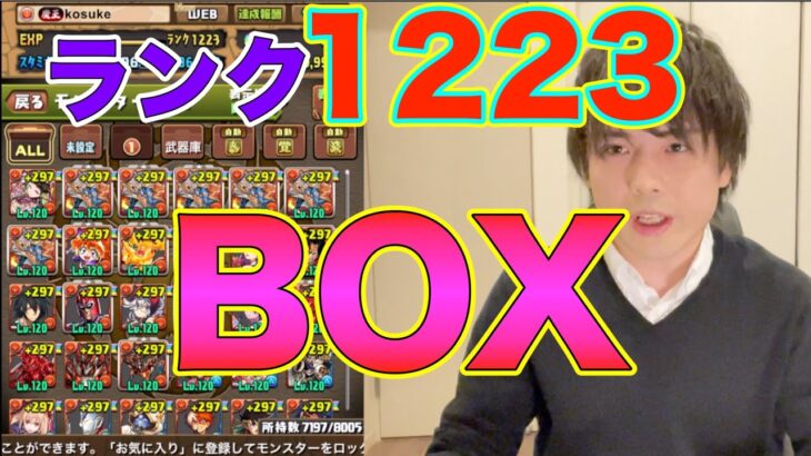 【ランク1223】10年以上プレイしたコスケのBOX紹介【パズドラ】