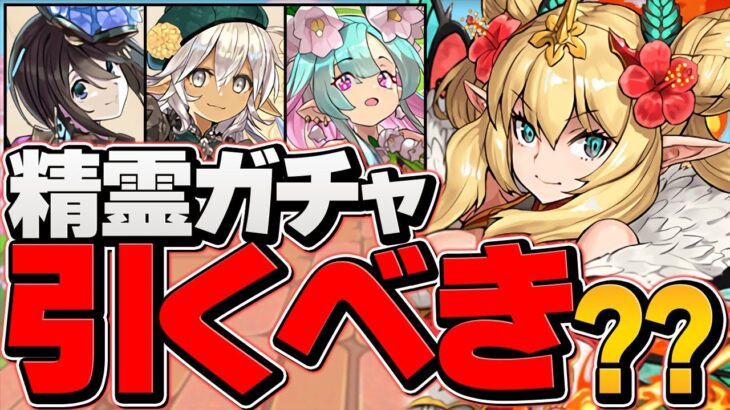 明日開催！星を紡ぐ精霊ガチャは引くべき！？知らないと損！戦国シリーズ強化解説も！【パズドラ】