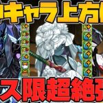 デイトナ&BB最強時代復活！ユキネ×ムコツも超強化！最強武器も？フェス限強化解説【パズドラ】