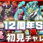 【パズドラドラゴン縛り】またドラゴン新フェス限!?2体狙ってゴッドフェス回す→『極悪』初見チャレンジ配信！！！