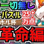 【大革命】ランダン！自力パズル一切無し！ルートパズル&スキップで25万点↑王冠余裕！配布キャラが人権に！ハトホル杯【パズドラ】