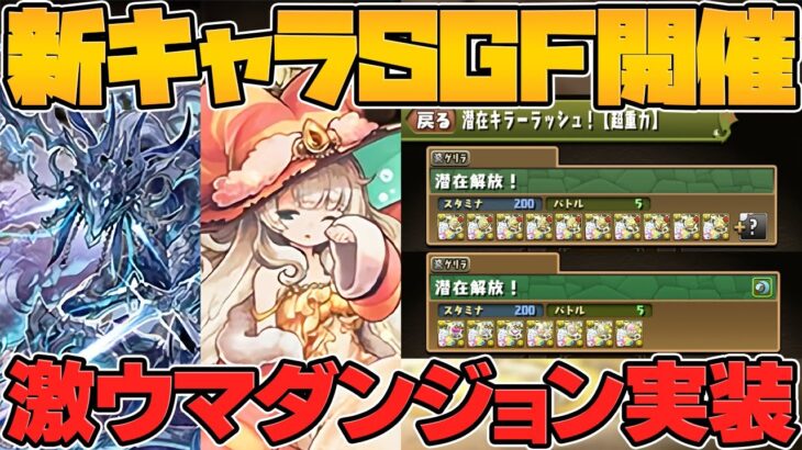 新キャラ「センキョウ」が明日実装！新ゲリラ3種でキラーや軽減+を乱獲！最新情報まとめ【パズドラ】