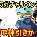 転スラコラボガチャリベンジ！15連で神引きしたい 【パズドラ】