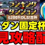 【生放送】ランダン初見攻略配信！6200万DL杯【パズドラ】