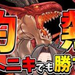 【パズル力不要】LFダンジョンキャラでEX勝てるのヤバすぎる【パズドラ 灼熱チャレンジ】