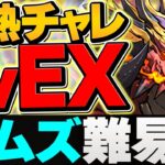 【最難関】LVEXに初見挑戦！→史上初の出来事が起こりました。 灼熱チャレンジ【パズドラ】