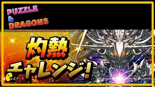 [PAD] 灼熱挑戰! 挑戰餓!  |  パズドラ 龍族拼圖