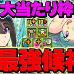 【超高級編成】これ、組めますか？【パズドラ】