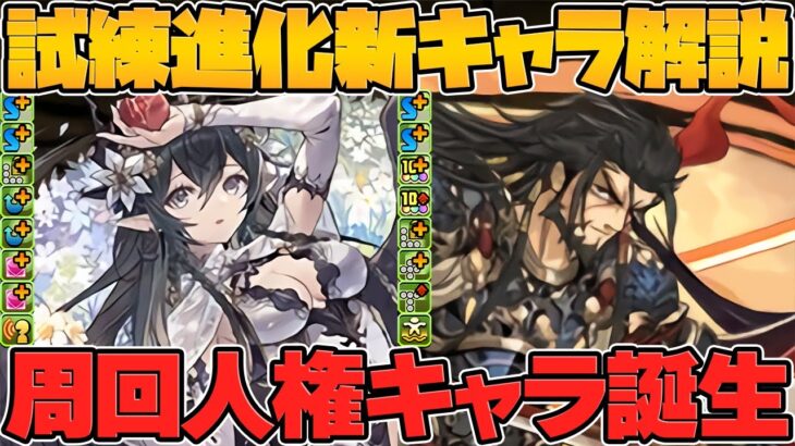 【周回人権】ペルセポネ試練進化&超転生イザナギ実装！アクセラレータが更に強くなるぞ！【パズドラ】