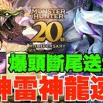 【MH合作速報】350億火力風神雷神龍現身、獄狼龍爆頭斷尾送超強武裝、冥海龍+青怪鳥初公開【パズドラ PAD】