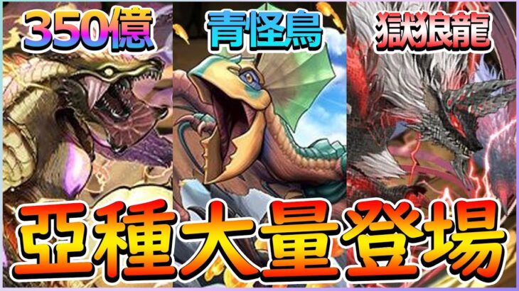 【PAD】史上最強火力？！雷神龍350億解放！大量亞種新登場｜RakuRaku