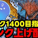 【生放送】ランク1400目指してランク上げ周回雑談配信!!!少しずつやるぞー【パズドラ】