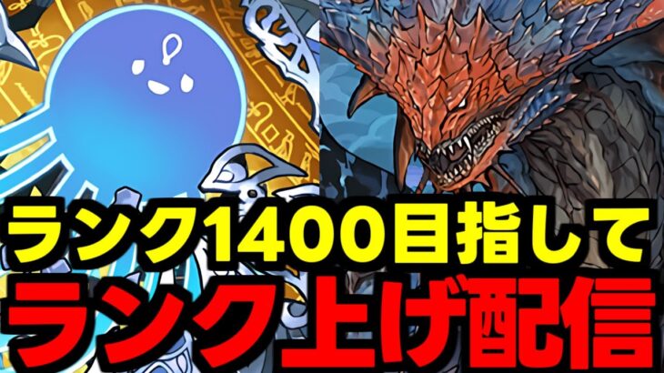 【生放送】ランク1400目指してランク上げ周回雑談配信!!!少しずつやるぞー【パズドラ】