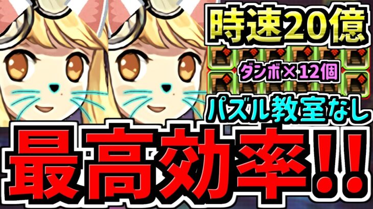 【最高効率】時速15~20億！パズル教室なし！ダンボ12個サレサレ裏修羅ねこ！ランク上げ編成！代用・立ち回り解説！両サレ裏修羅【パズドラ】