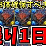 【残り1日】9体確保オススメ！最低8体取るべき理由！ネロミェール最終確保解説！モンハンコラボ交換所解説【パズドラ】