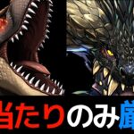 【ガチャ限篇】モンハン新キャラ+既存魔改造で大当たり多数！ラスト2体だけでも見てください！【パズドラ】