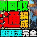 大炎上した飛空艇商法が遂に終了？サンリオキャラクターズランド2分台周回編成！全条件キャラ対応！代用&立ち回り解説！【パズドラ】