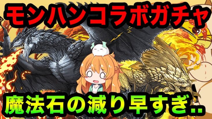 モンハンコラボガチャを魔法石200個以上使って回した結果…【パズドラ】