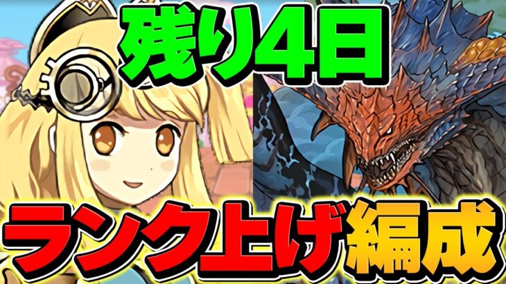 【最新版】零次元ネロミェール4体周回編成！サレーネ強化で更に快適に！所持者絶対に見て！！【パズドラ】