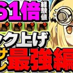 両サレ×ダンボ6！強化後サレーネで裏修羅ランク上げ！ぶっ壊れチート最強確定！【パズドラ】