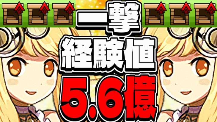 【7~8分台】ほぼパズル無しで5.6億稼げる時代がヤバすぎる【パズドラ】