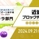 【近畿ブロック代表予選】全国都道府県対抗eスポーツ選手権 2024 SAGA パズドラ部門