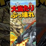 青天井の火属性ぶっ壊れ新キャラが強すぎる！モンハンコラボの大当たりキャラ！【パズドラ】#shorts #パズドラ #モンハン