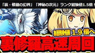 今組んで周回しよう！！サレーネがランク上げ最強キャラに！！シルヴィア×サレーネの裏修羅周回編成！！【パズドラ実況】