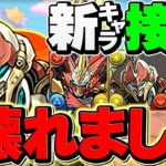 これがパズドラ運営のやり方！スティードが最強火力キャラで人権性能に！引けた人勝ち組確定！【パズドラ】