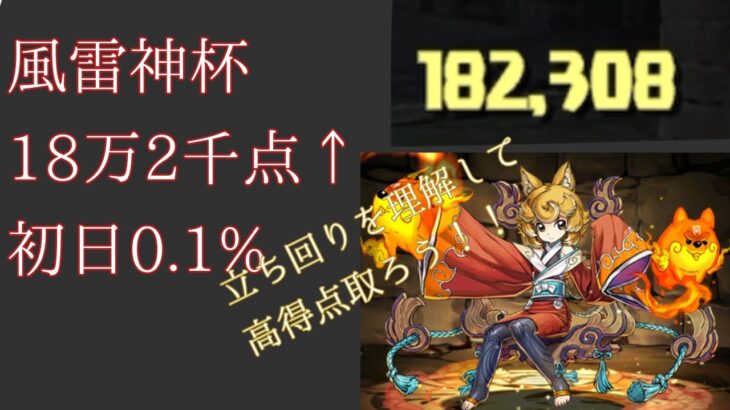 【風神雷神杯】【ランダン】【18万2千点】【初日1%以内】立ち回りを固定して高得点を取ろう!!【パズドラ】