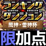 【風神雷神杯】無限加点で21万点安定！ランダン王冠狙いのコツを解説します【パズドラ】