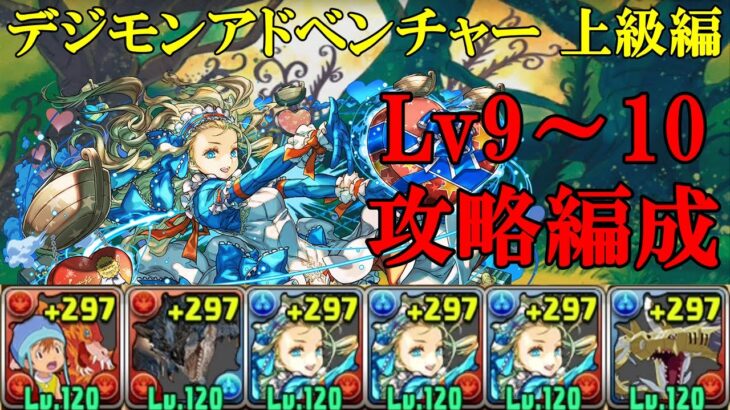 【デジモンアドベンチャー上級編】武之内空＆バードラモン✕メタルシードラモンのバレタインノア編成でLv9~10攻略！！【パズドラ】