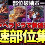 【パズドラ】ハロウィンヘラ入り宿儺で新凶兆部位破壊周回編成‼︎ハデドラ１体で超高速部位破壊‼︎【パズドラ実況】