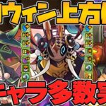 ハロウィン既存キャラ強化解説！呪術廻戦コラボと相性抜群！？強キャラ多数実装！【パズドラ】