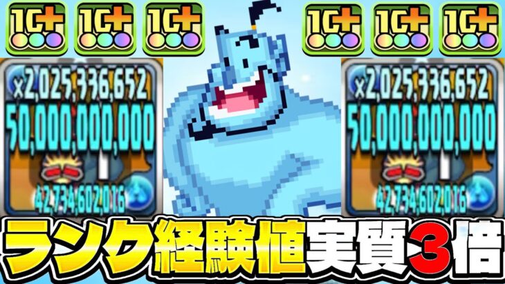 【新時代】1,000億出せるサレーネ⁈ ドットジーニーのランク上げ性能がヤバすぎる【パズドラ】