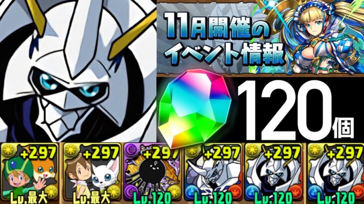 【誰でも組める】11月クエストLv15~11共通オメガモン編成解説！Lv12はポチポチで瞬殺【パズドラ】