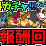 【全報酬回収】無料ガチャ2,3回分GET！ガチャドラフィーバー立ち回り簡単2ステップ解説！ディズニーイベント【パズドラ】