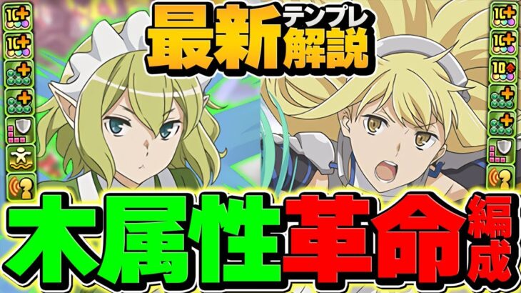 木環境1位！アイズ×リオンで新億兆攻略！交換可能なバケモンキャラ誕生しましたｗｗ【パズドラ】