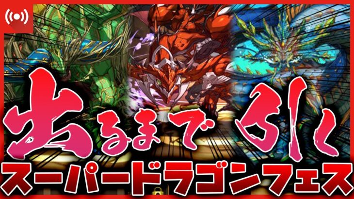 【パズドラドラゴン縛り】辰年最後のスーパードラゴンフェス!!!新フェス限3体コンプまで回して破産する配信