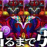 【閲覧注意】エニグマ4体出るまで引いたらヤバすぎた【パズドラ】