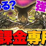 【廃課金専用】アグリゲートがパズドラ環境をぶっ壊しました。オメガモン超え！7分台安定周回！新万寿【パズドラ】