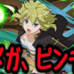 【ガチャ】ヤバいらしいから、引退かけてアイズ×リューPTを揃える。【パズドラ】