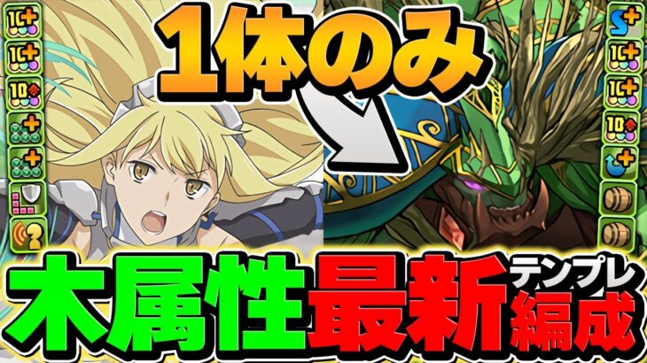 【環境TOP】アイズ×シルヴァ=最強テンプレ誕生！ボス5T突破！新億兆安定攻略！【パズドラ】