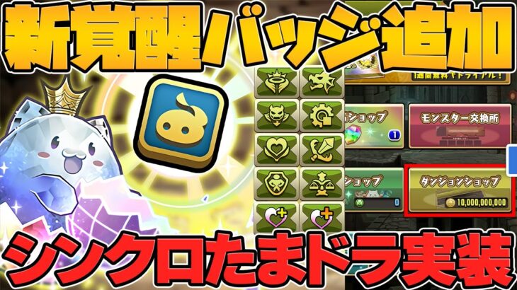 新バッジ！シンクロたまドラ！コインダンジョン！Ver21.9アップデート情報解説！【パズドラ】