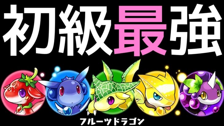 【歴世初級】フルーツドラゴン乱獲編成！上級より初級がオススメ【パズドラ】