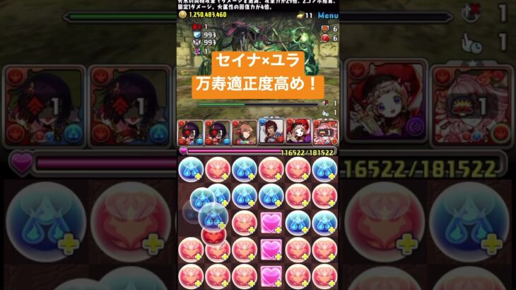 【パズドラ】セイナ×ユラで万寿攻略！適正度高め！ #パズドラ