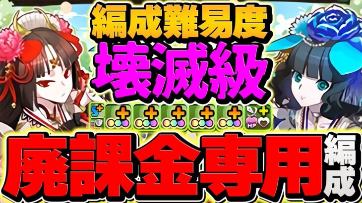 【廃課金】1500億ループ！オメガモン超えの超火力で新億兆攻略！メイシン×ノルニルの最強テンプレ解説！【パズドラ】