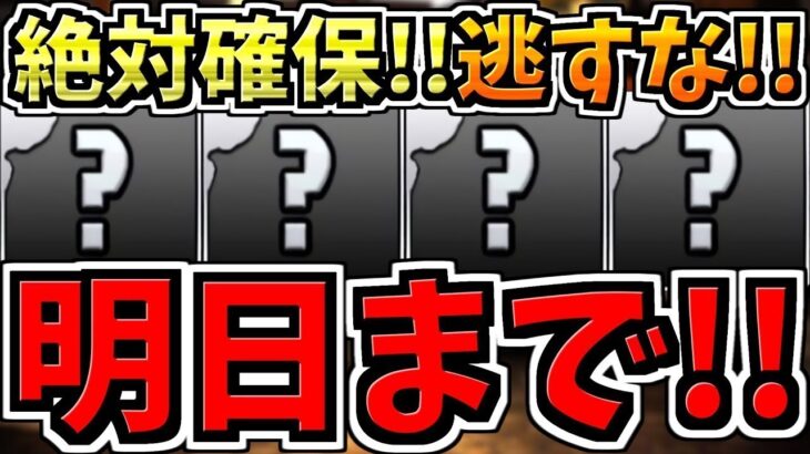 【明日まで】逃すとマズイ絶対確保して！魔法石62個相当,無料ガチャ6回分,確保必須4体など！一挙に紹介解説！【パズドラ】