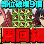 【部位破壊×9】巴御前降臨をエルザで周回！代用&立ち回り解説！部位の素材集めしよう！【パズドラ】